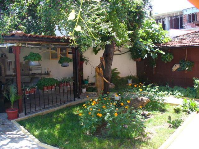 Guest House Alex Chernomorets Exterior photo